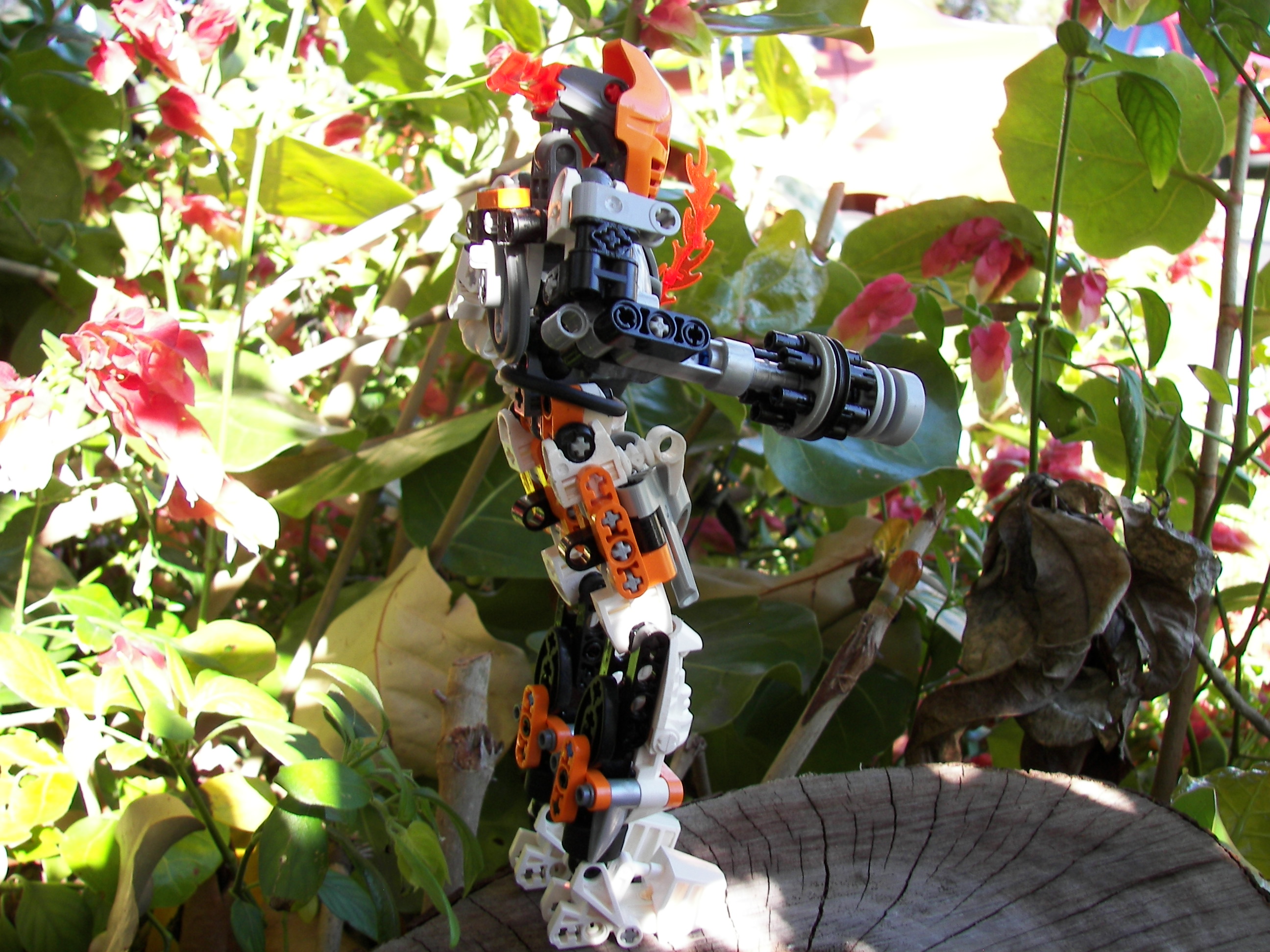 3-15_114.jpg