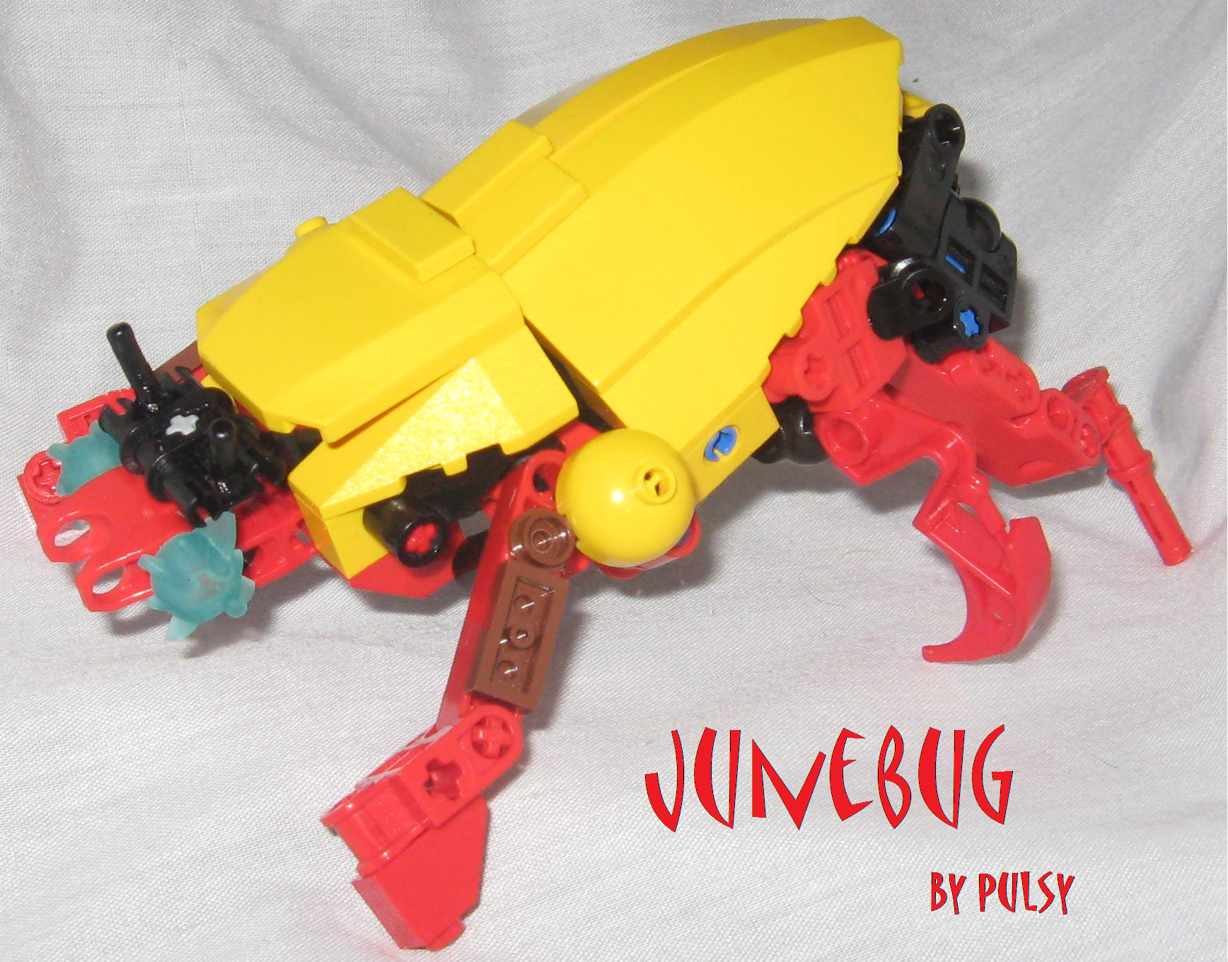 junebug_entry_pic.png