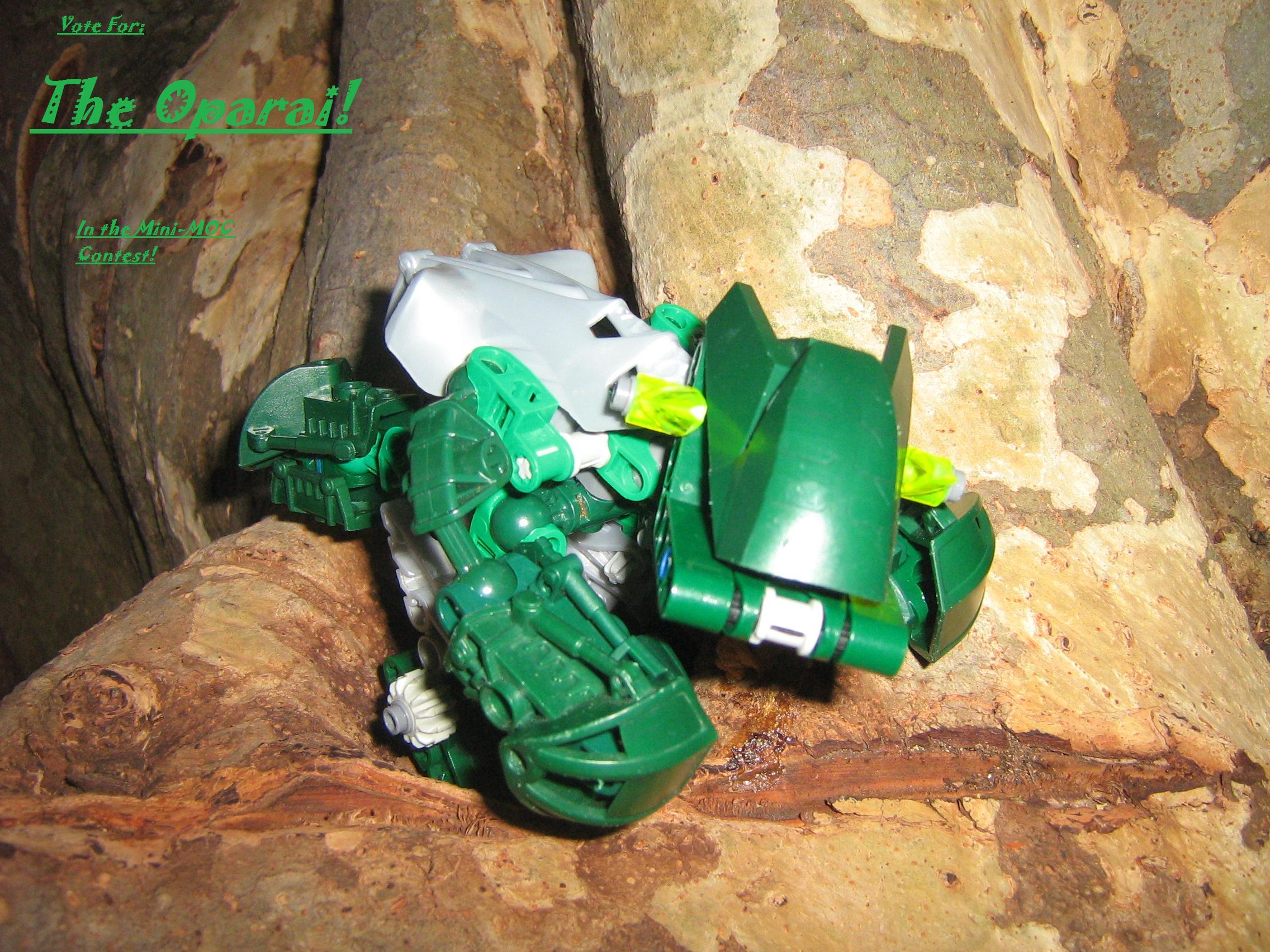contests_025.jpg