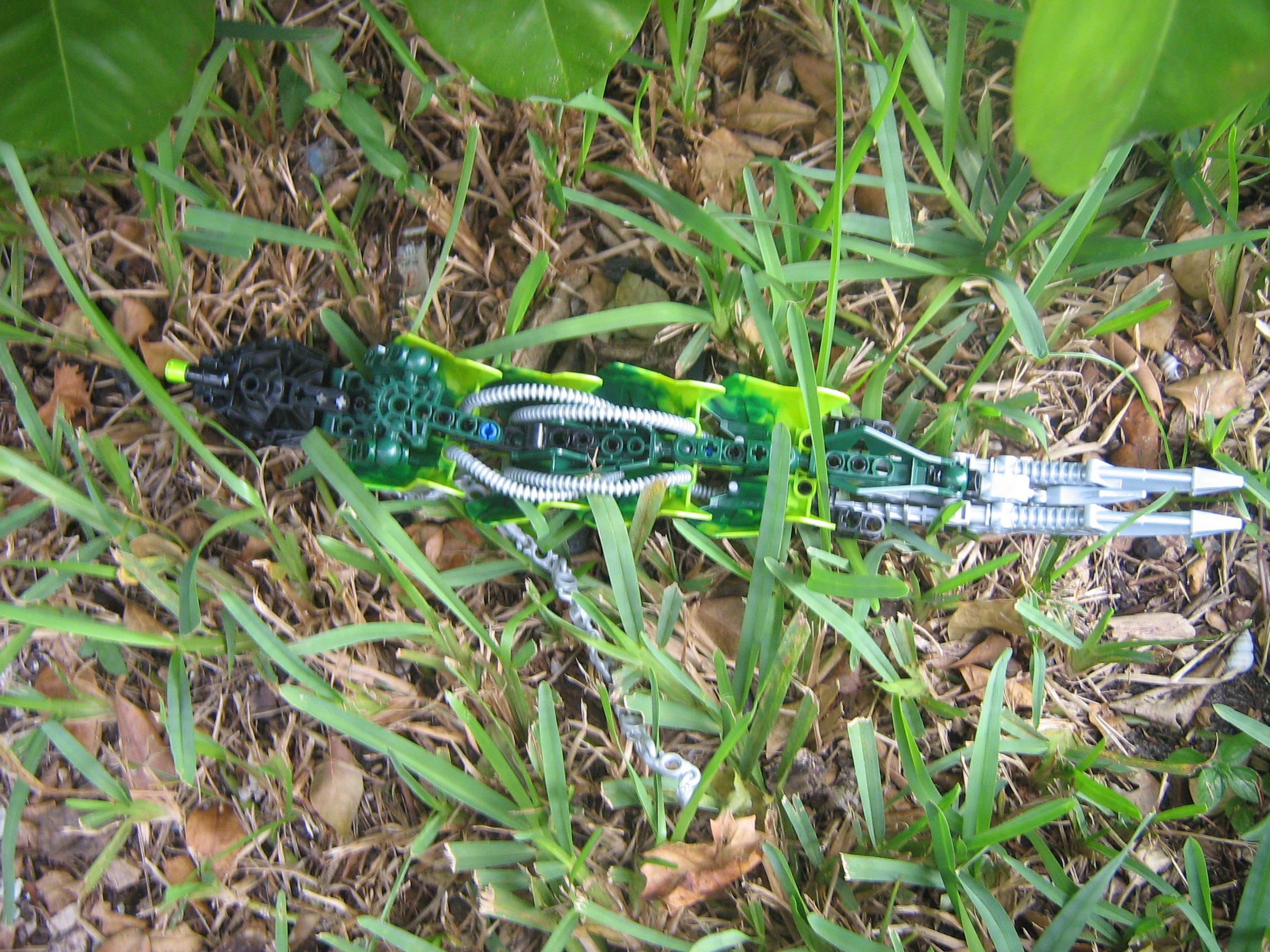 worm_001.jpg