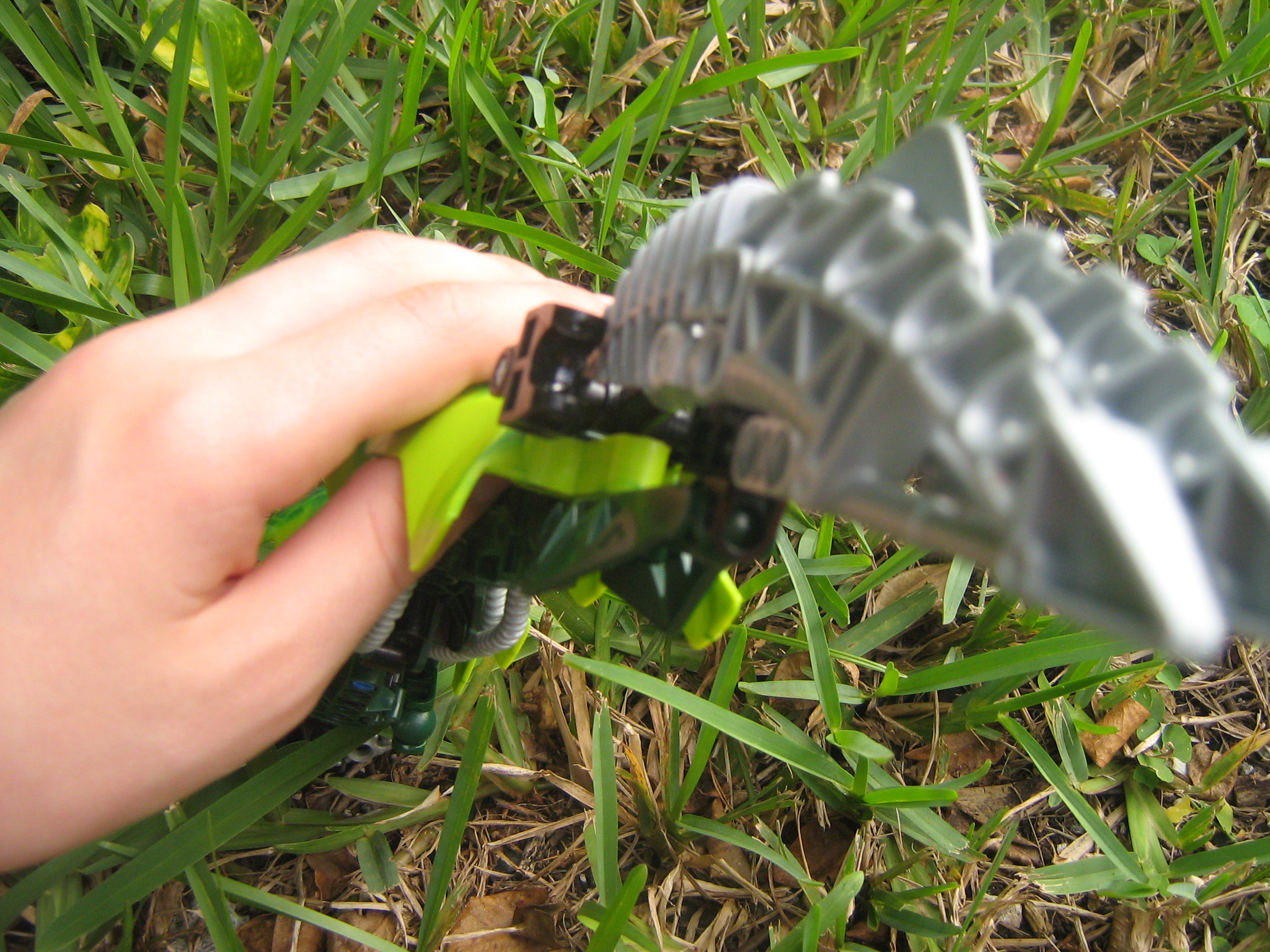 worm_002.jpg