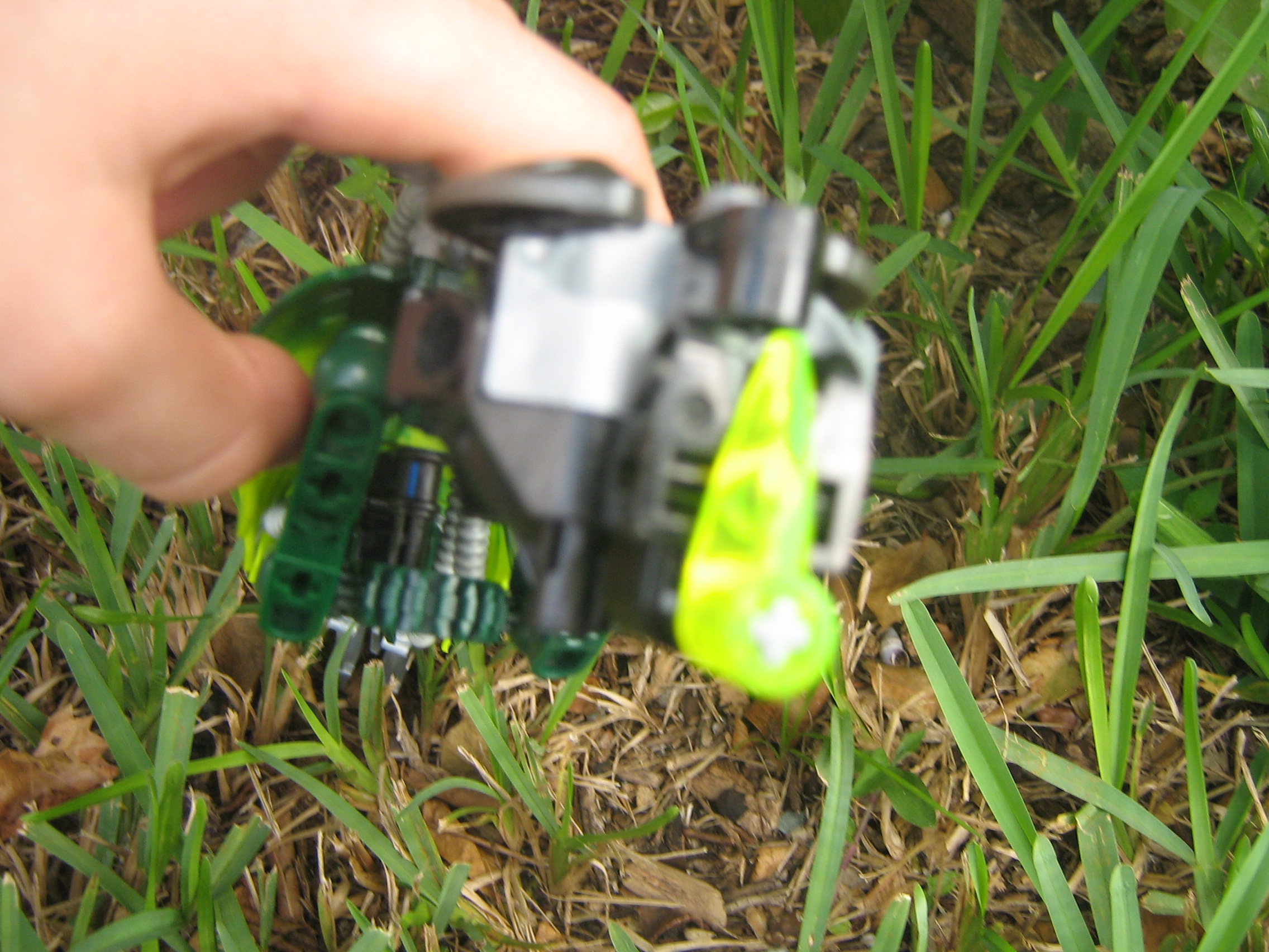worm_003.jpg