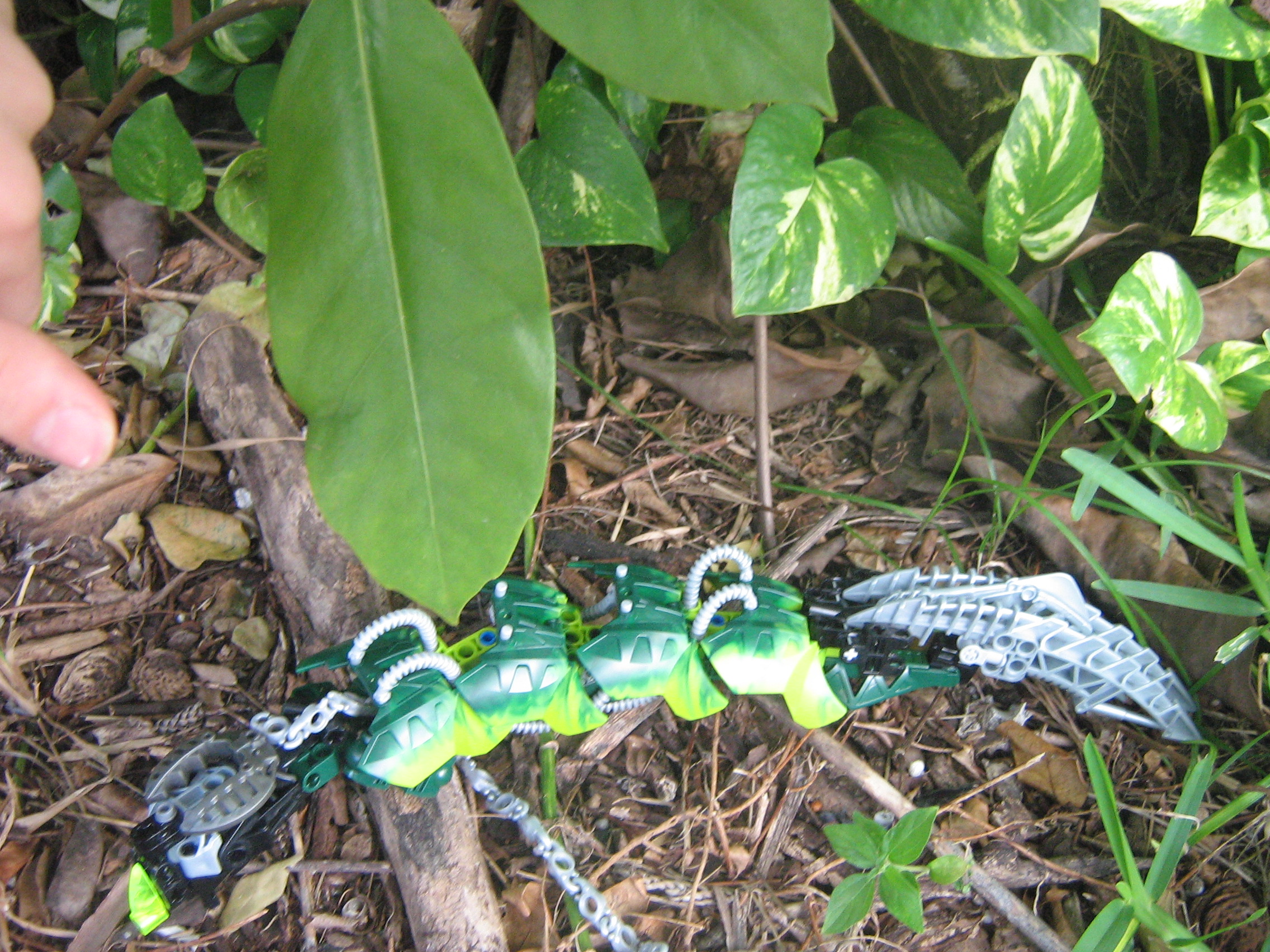 worm_005.jpg