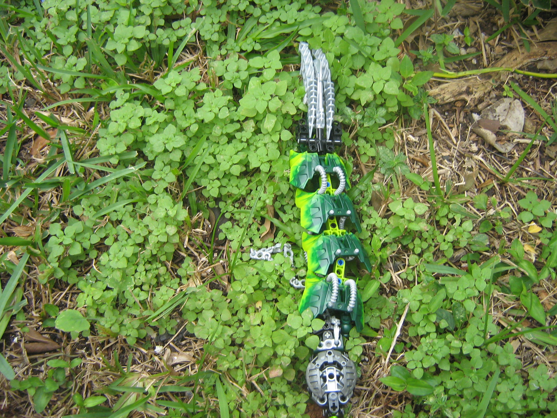 worm_006.jpg