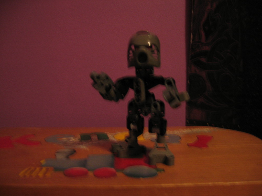 matoran4karate.jpg