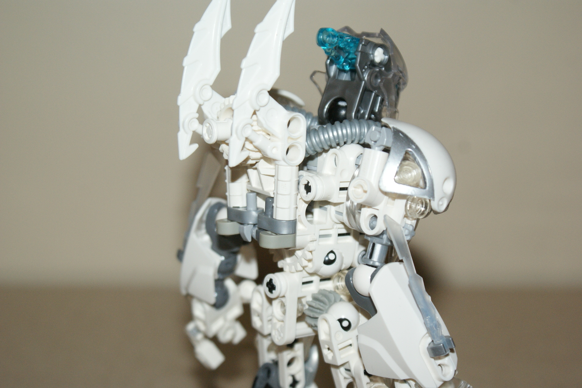dsc07336.jpg