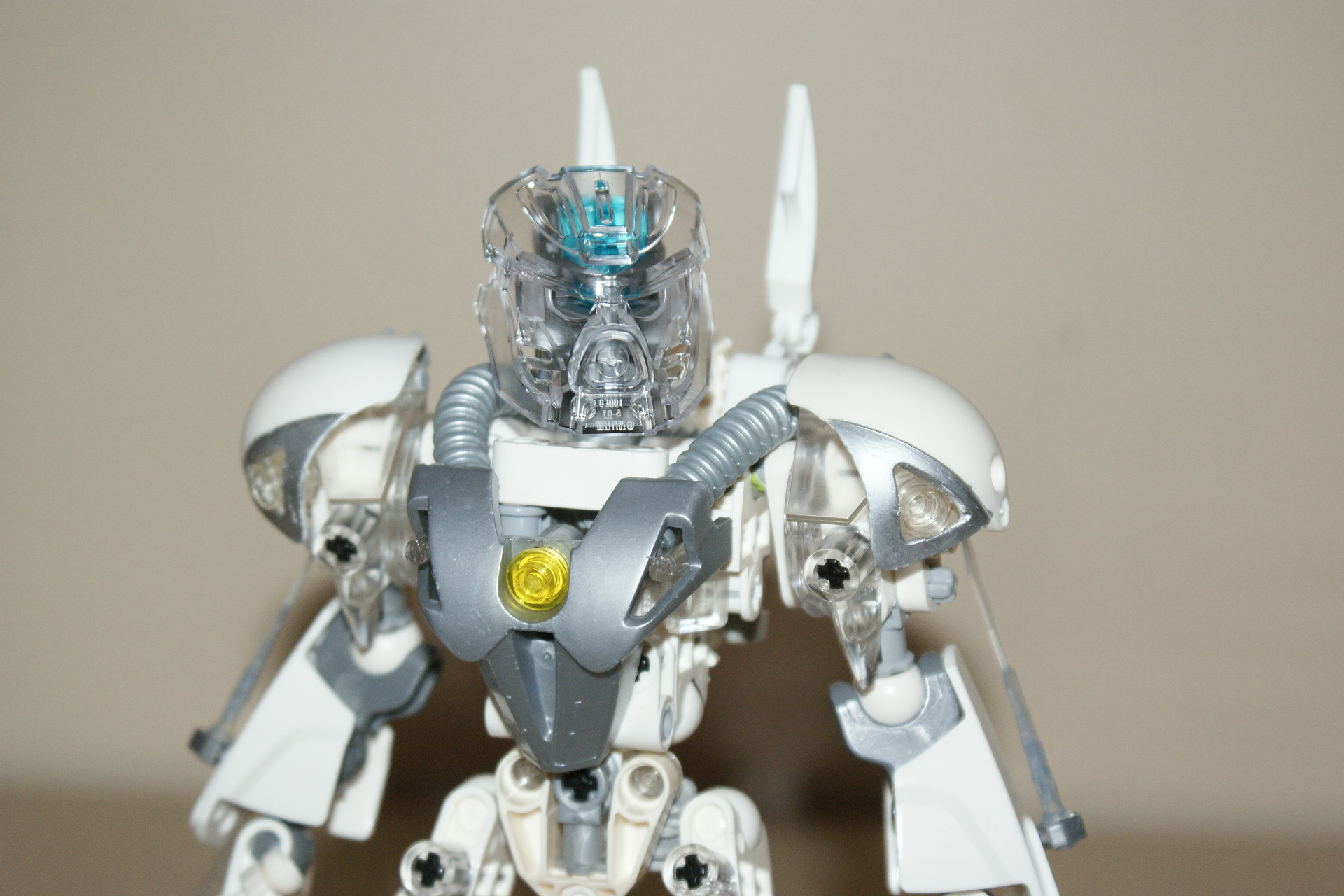 dsc07337.jpg