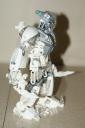 dsc07334.jpg