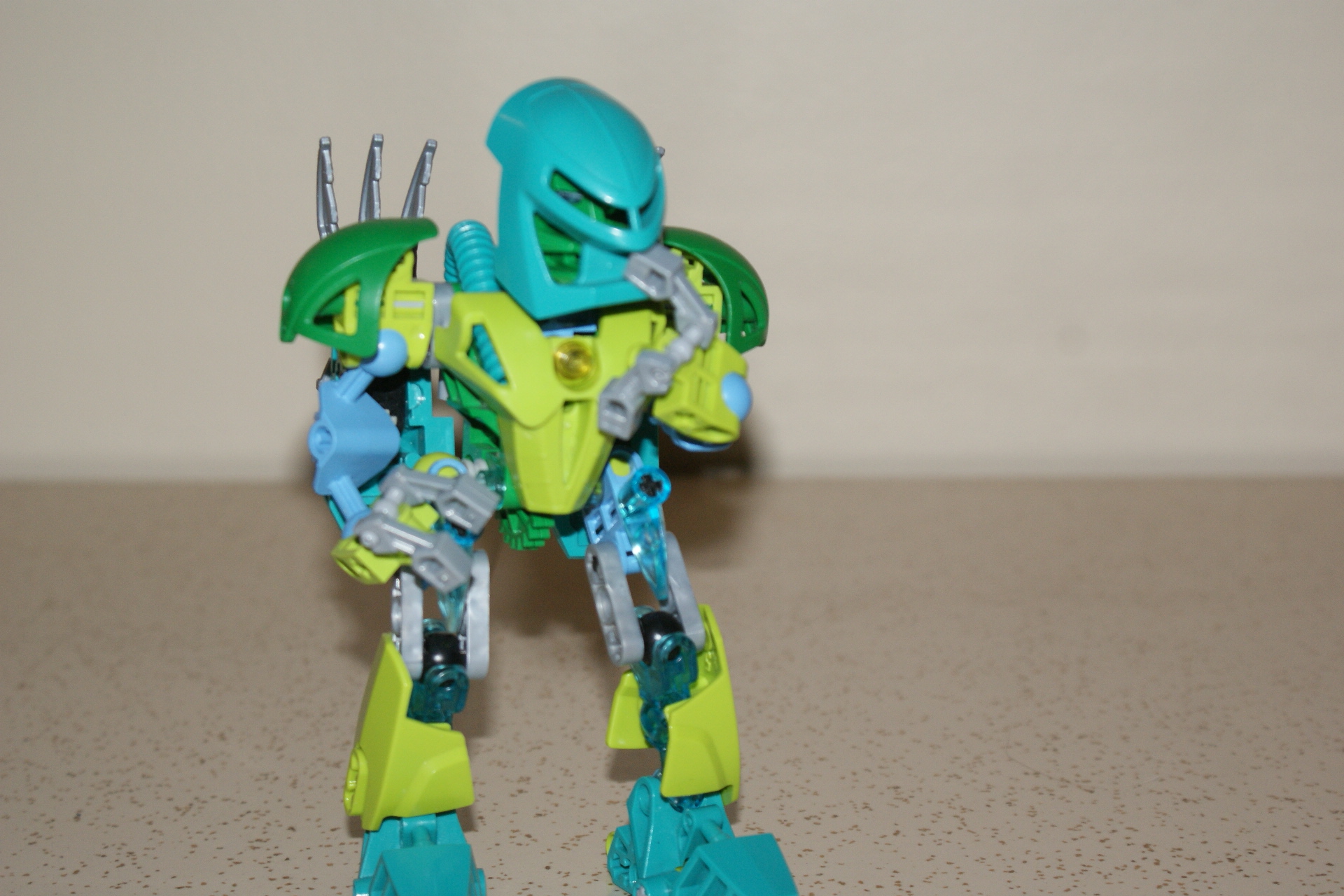 dsc07313.jpg