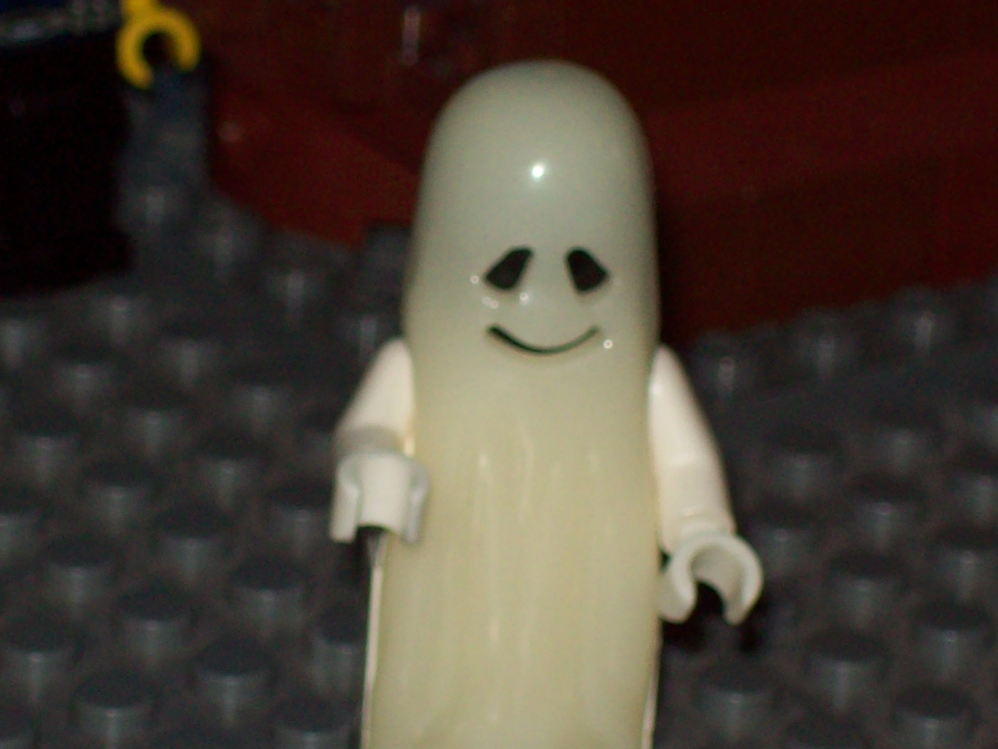 100_1211.jpg