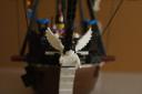 dsc03748.jpg