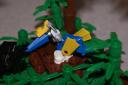 dsc04493.jpg