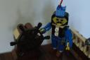 dsc03683.jpg