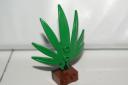 dsc04123.jpg