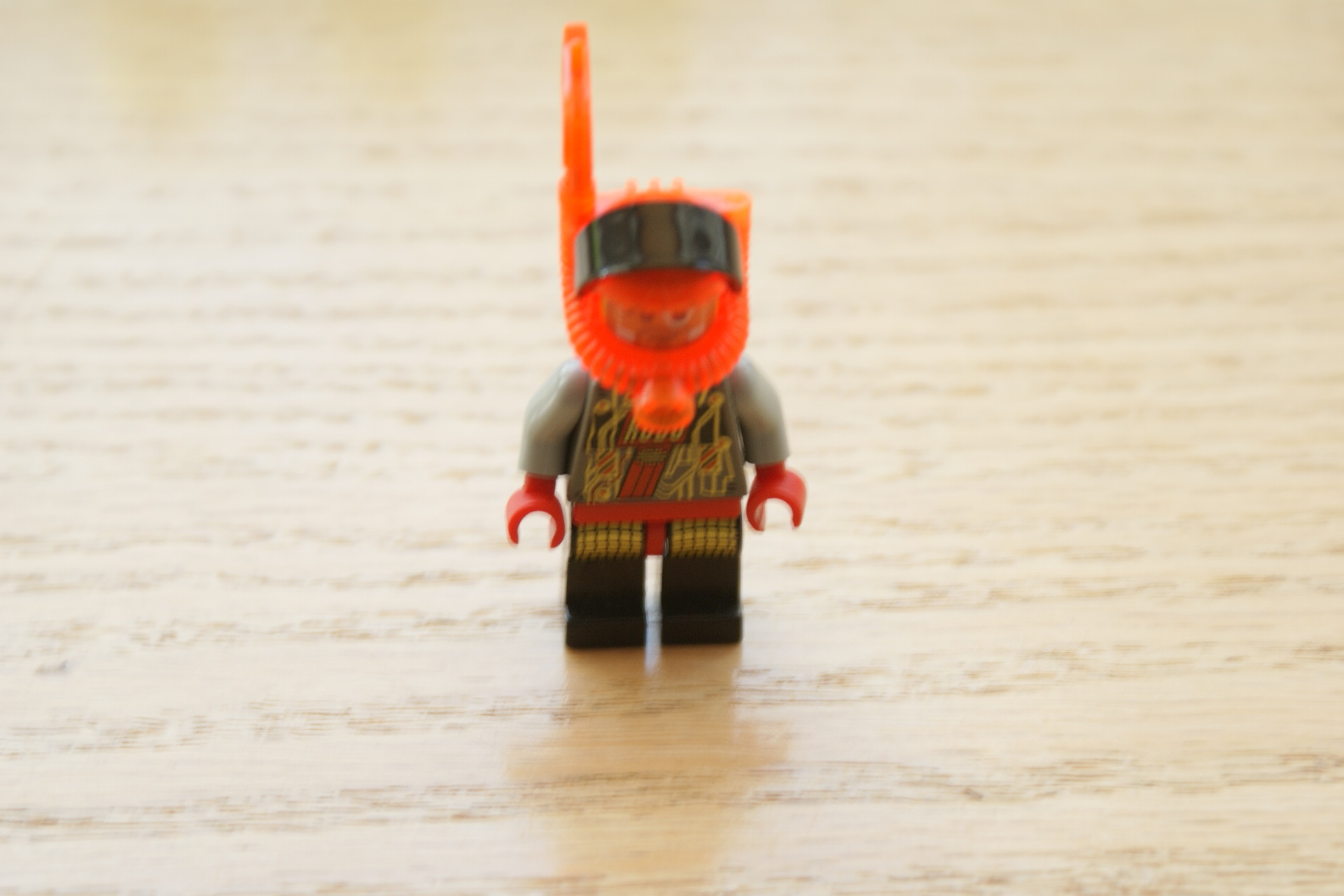 dsc03412.jpg