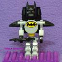 bat-bot_front.jpg