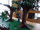 boy_on_the_swing_on_the_tree.jpg