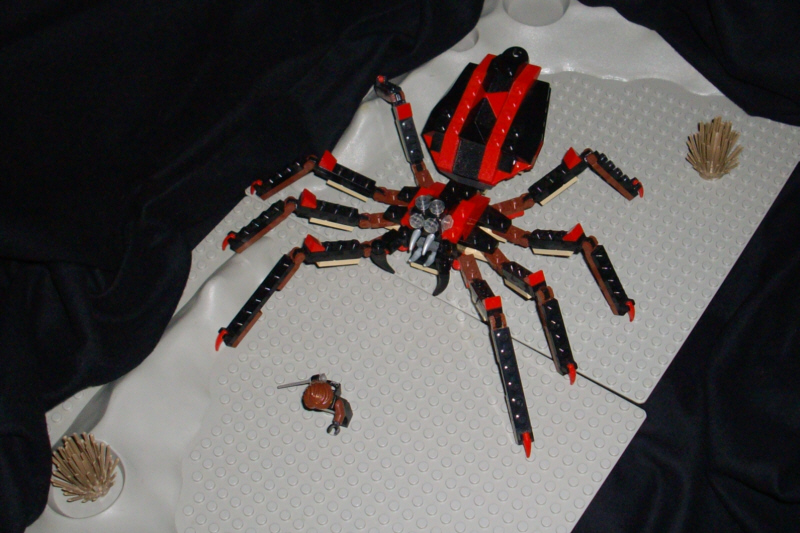 ashland_spider_1.jpg