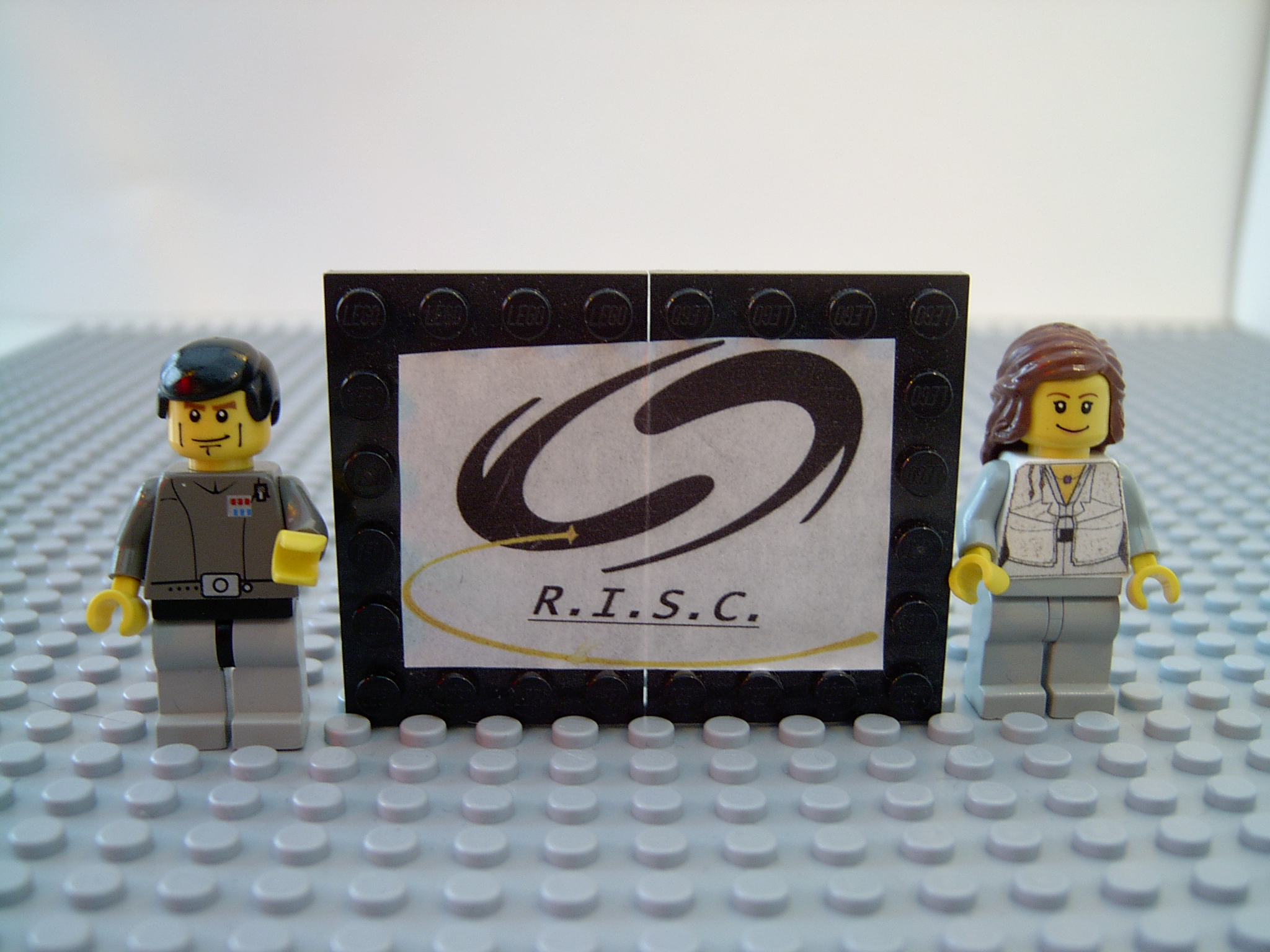 risc.jpg