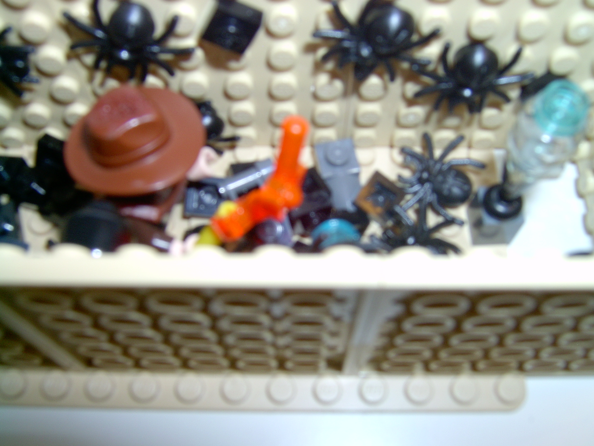 spiders.jpg