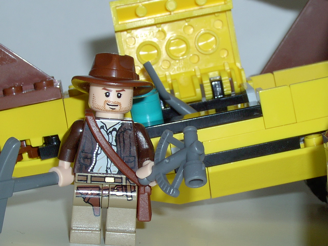 indy.jpg