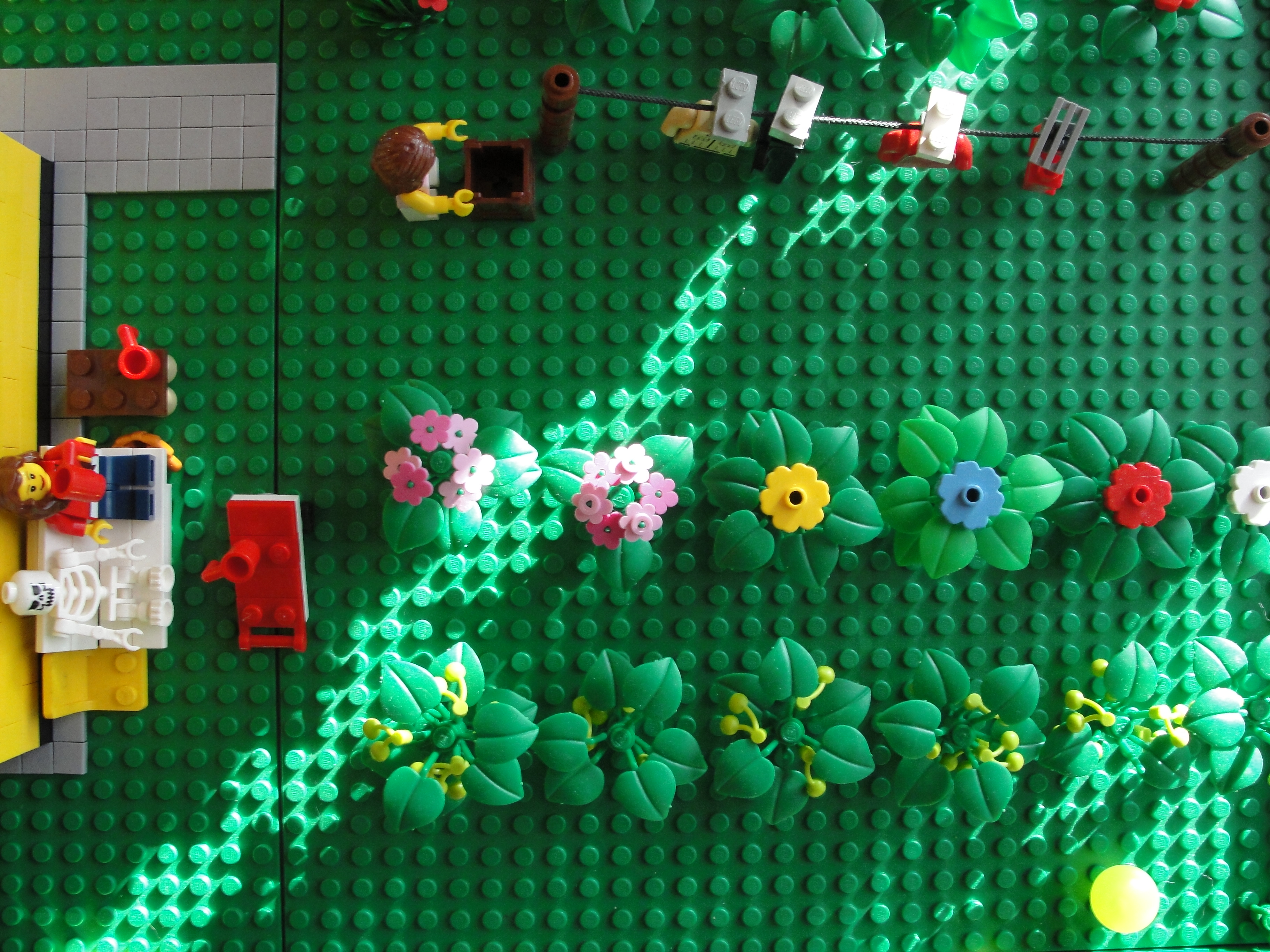 garden.jpg