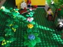 garden-1.jpg