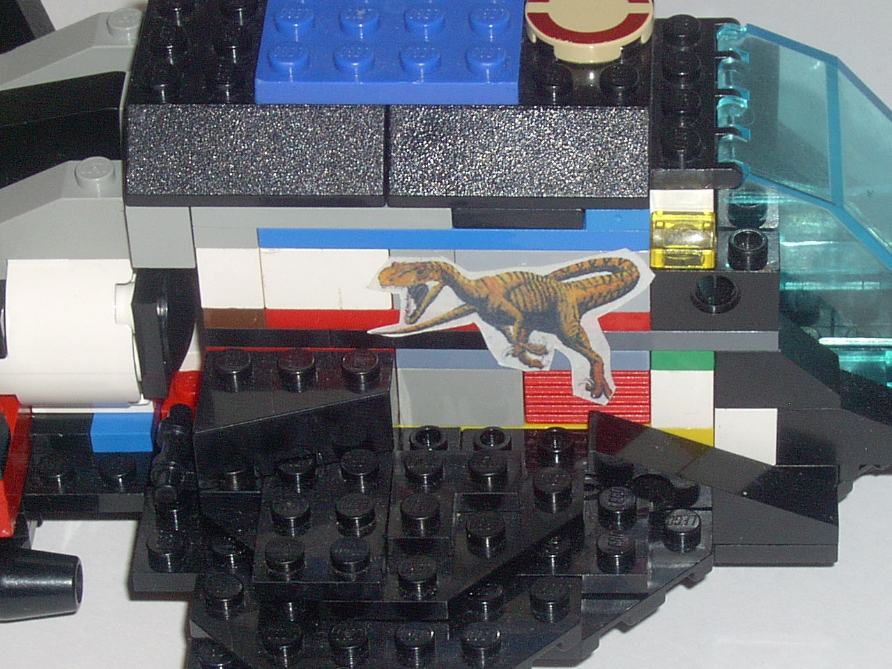 raptor.jpg