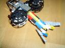 sparrowhawk-5.jpg