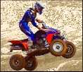 atv_avvy.jpg