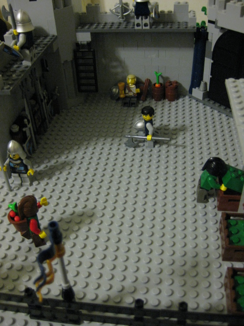 917_014.jpg