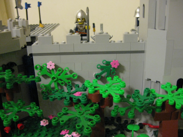 917_025.jpg