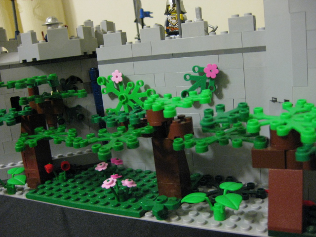 917_041.jpg