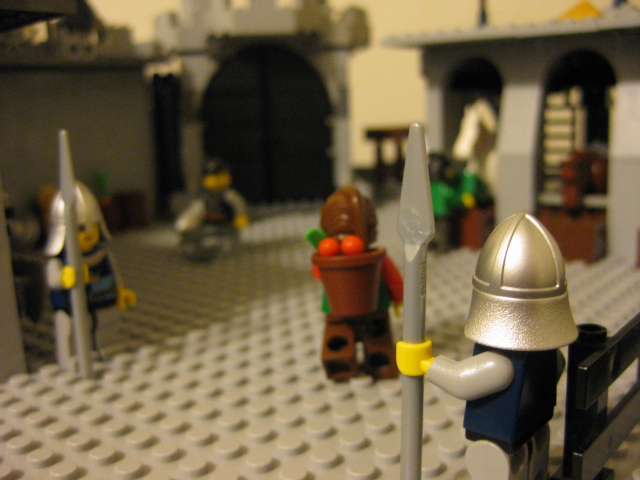 917_046.jpg