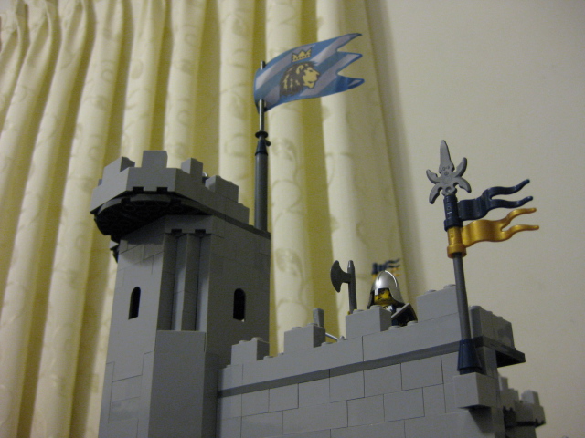 917_050.jpg