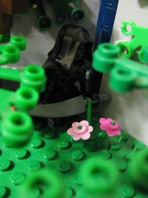 917_058.jpg