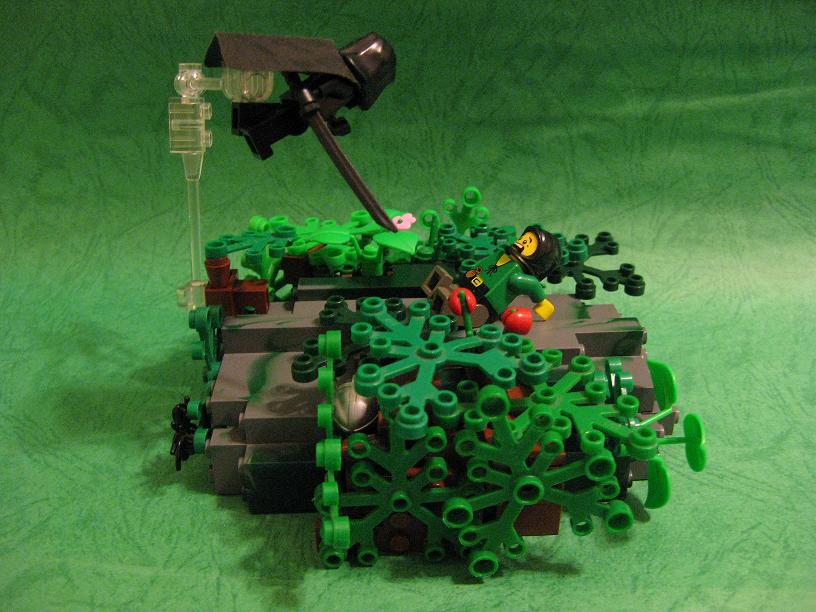 forest_009.jpg