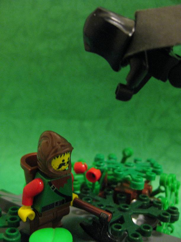 forest_028.jpg