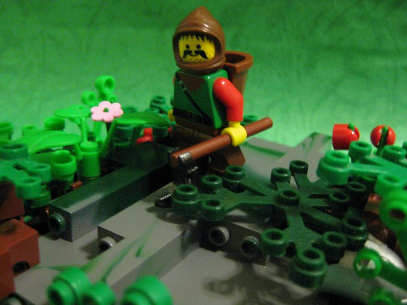 forest_035.jpg