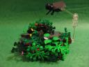 forest_010.jpg