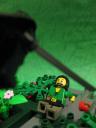 forest_016.jpg