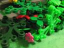 forest_020.jpg