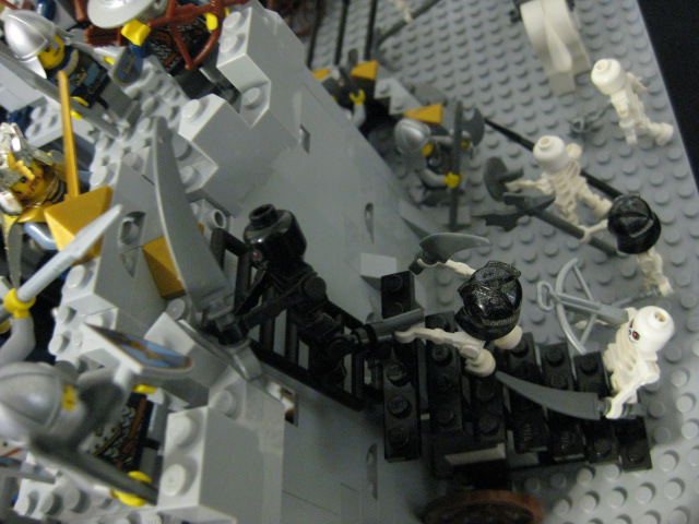 17248_347.jpg