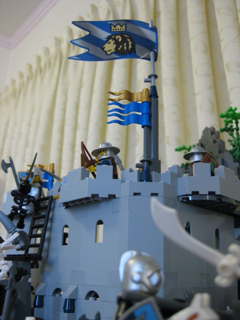 17248_362.jpg