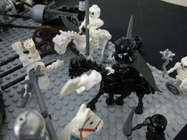 17248_363.jpg