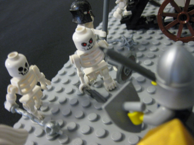 17248_366.jpg