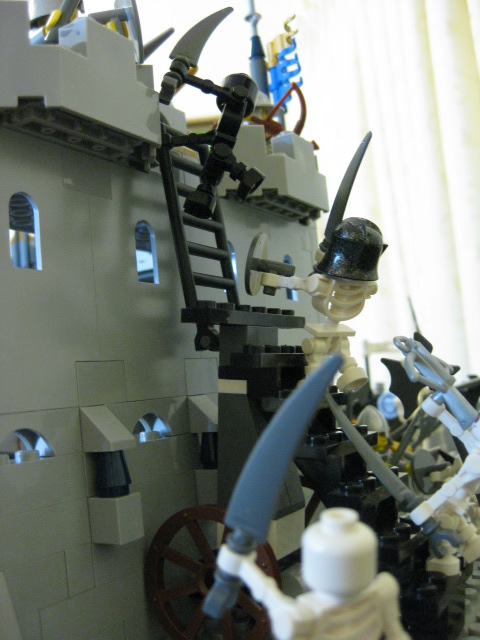 17248_377.jpg