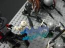 17248_372.jpg