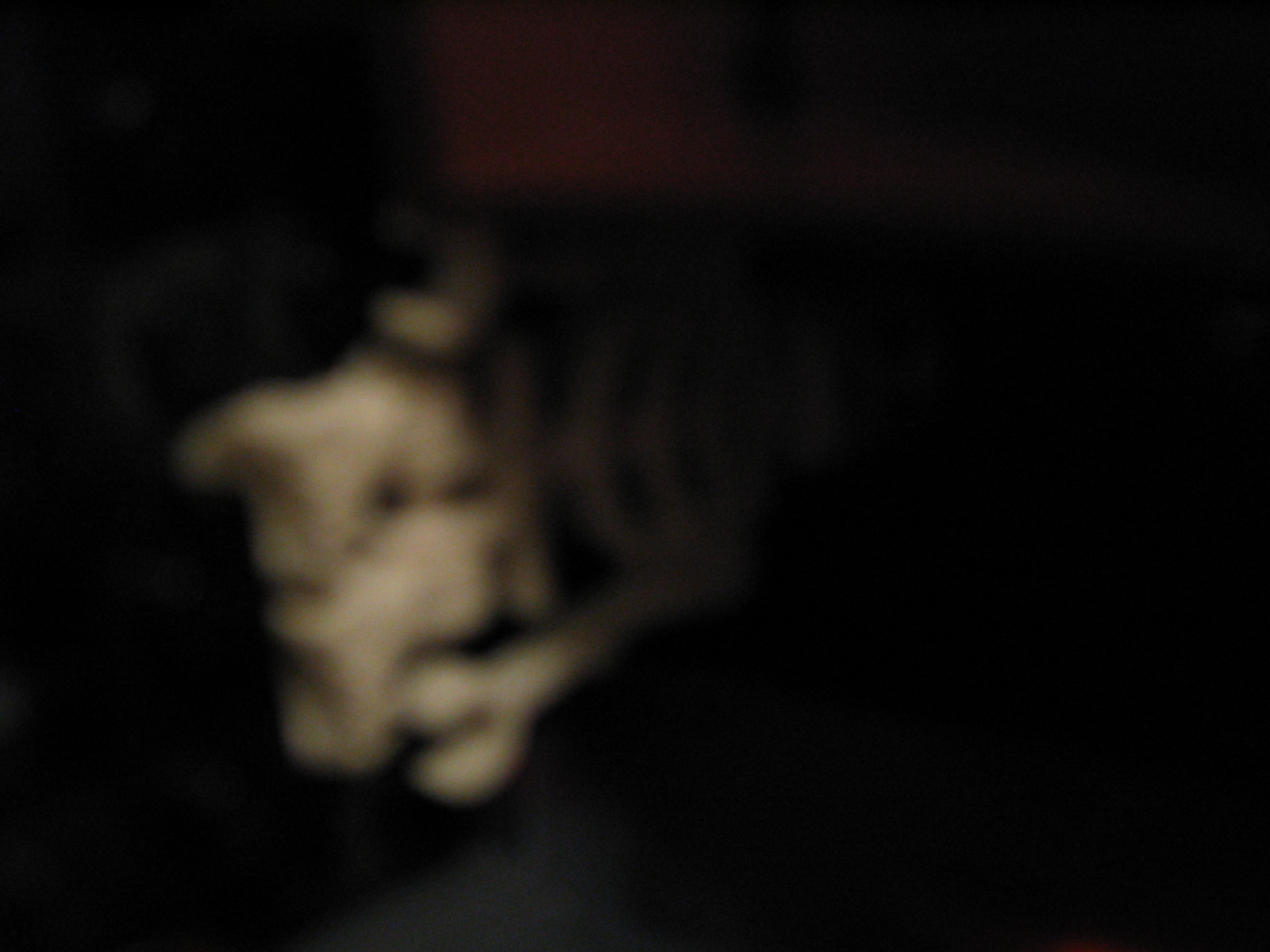 5_067.jpg
