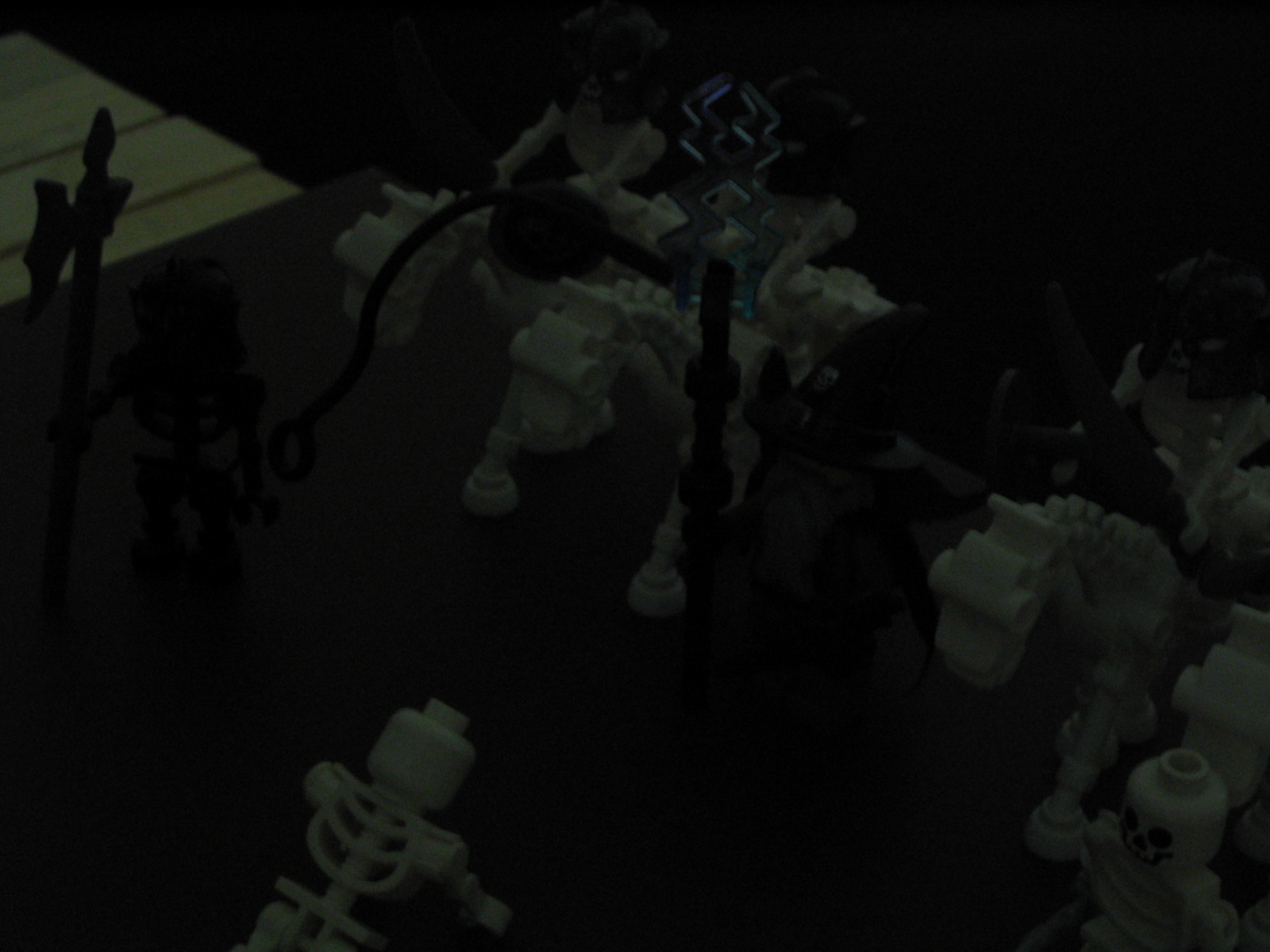 5_074.jpg